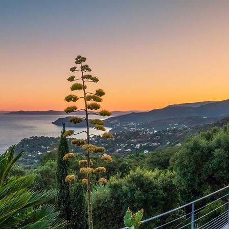 Vistazur Luxueux Appartement Avec Terrasse Et Piscine Le Le Rayol-Canadel-sur-Mer エクステリア 写真